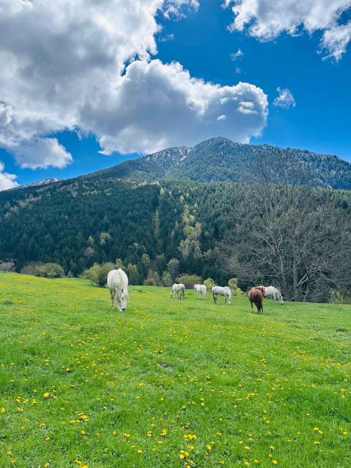 Valls Valira 2*