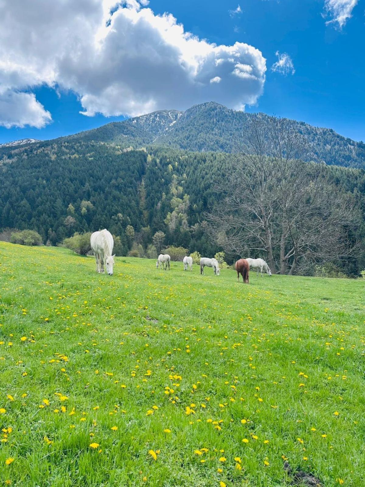 Valls Valira Hotel